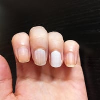 Review 1