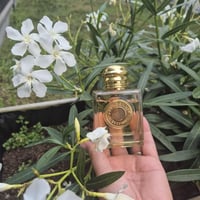 Review photo 5